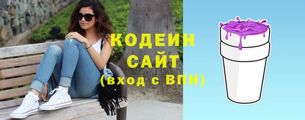 прущие грибы Аркадак