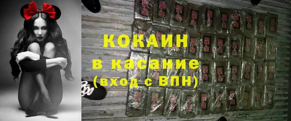 сатива Арсеньев