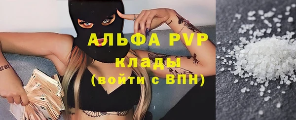 сатива Арсеньев