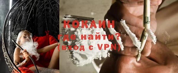 прущие грибы Аркадак