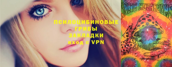 ALPHA-PVP Инта