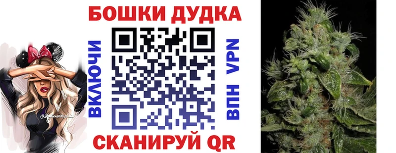 купить наркотики сайты  Волгодонск  hydra как зайти  Бошки марихуана план 